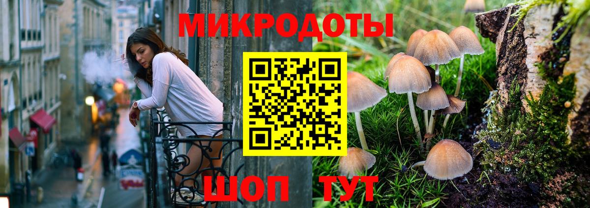Галлюциногенные грибы Psilocybine cubensis  Вход с VPN  Гусь-Хрустальный 